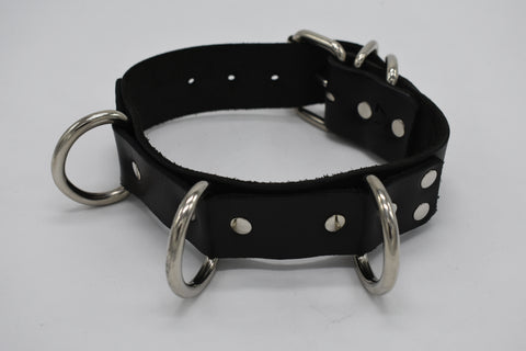 3 D-ring Collars